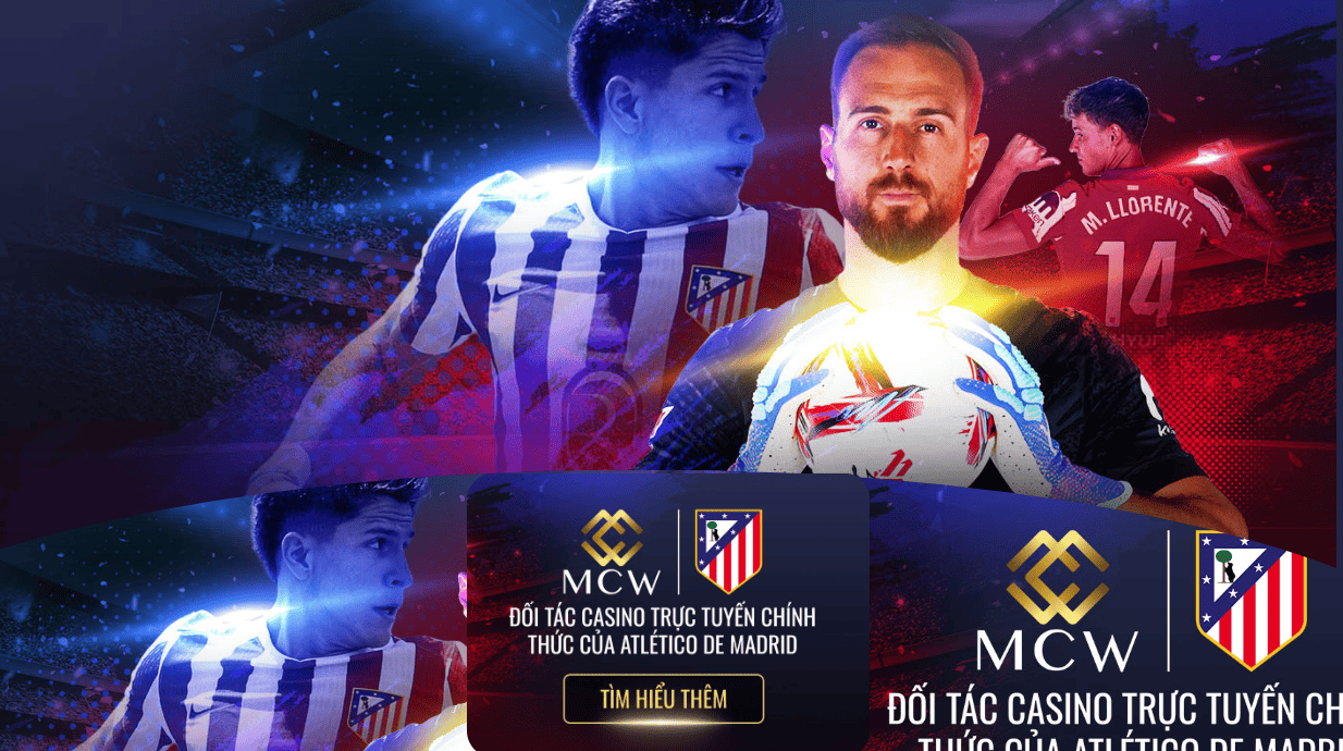 Giới thiệu tổng quan về MCW77 và lý do nên đăng ký