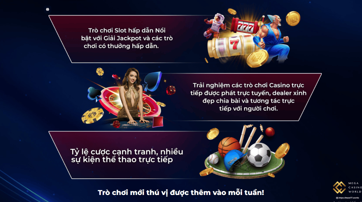 Hướng dẫn tải app MCW77 trên Android và iOS